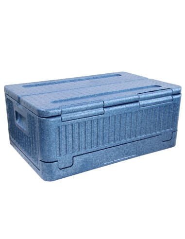 CAJA DE ALMACENAMIENTO PLEGABLE AZUL 40 LTS